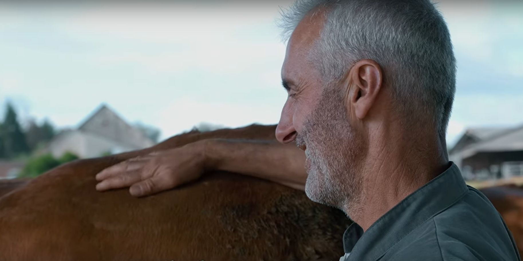 Le bien être animal